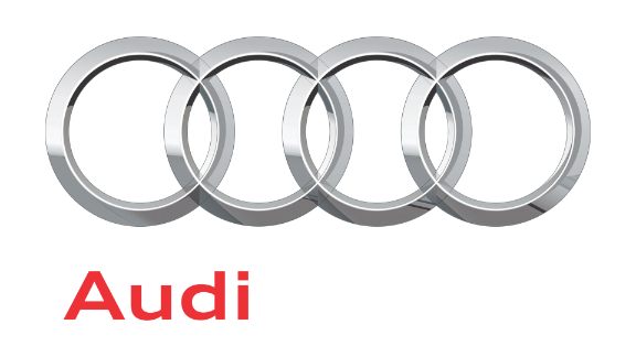 Audi Coupe vin patikrinimas