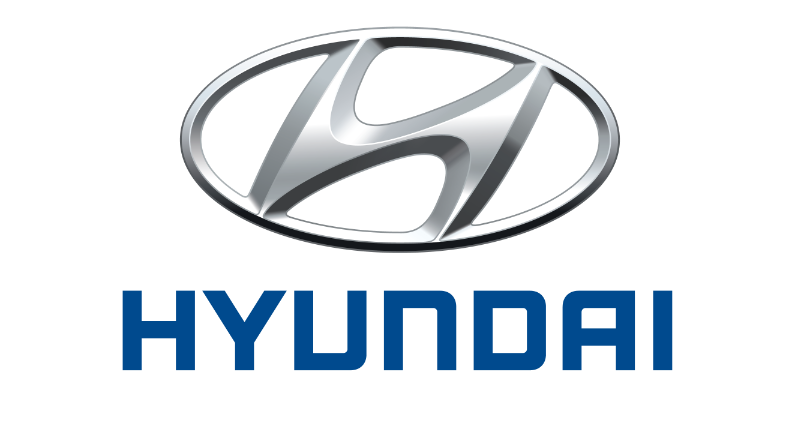 Hyundai vin patikrinimas