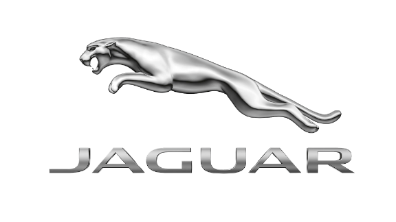 Jaguar vin patikrinimas