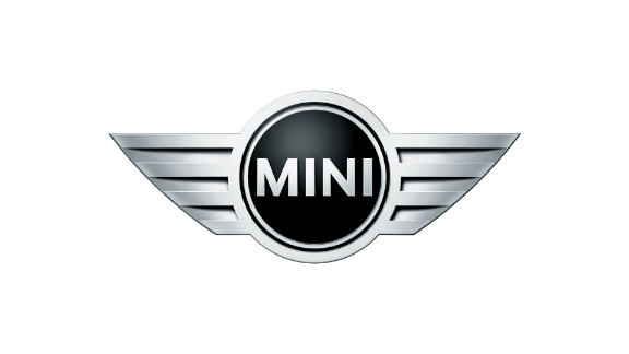 Mini Cooper S vin patikrinimas